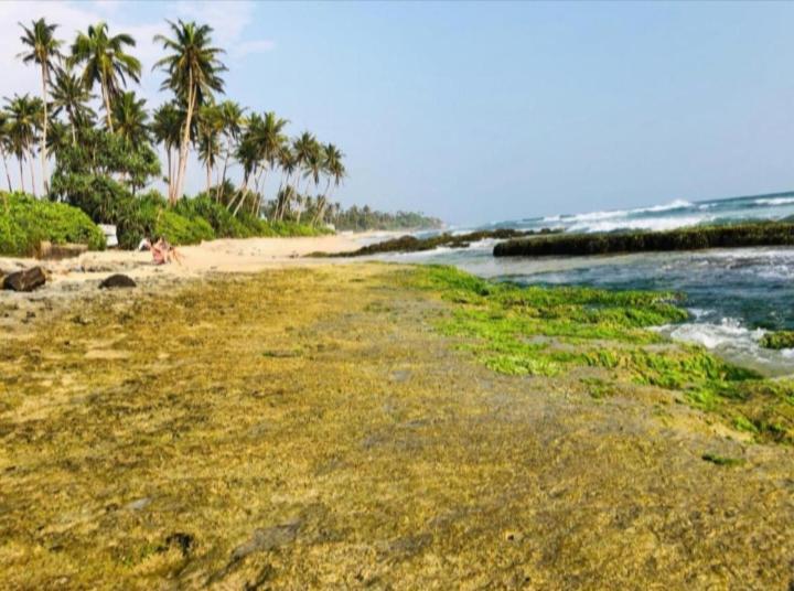 Sandaru Surffing Inn Weligama Exterior foto