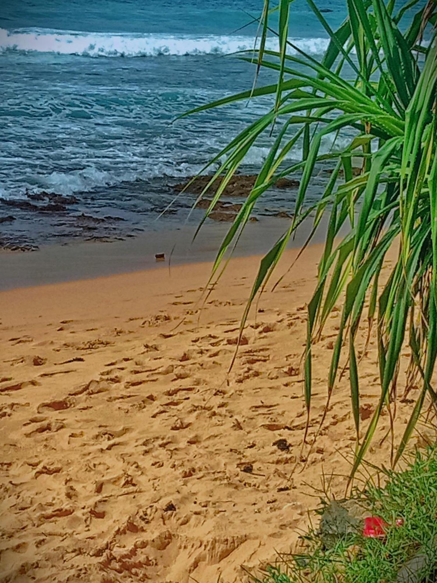 Sandaru Surffing Inn Weligama Exterior foto
